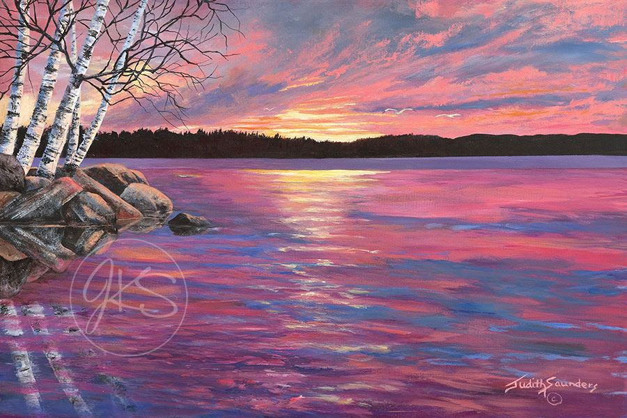 Birches And Rocks In Sunset