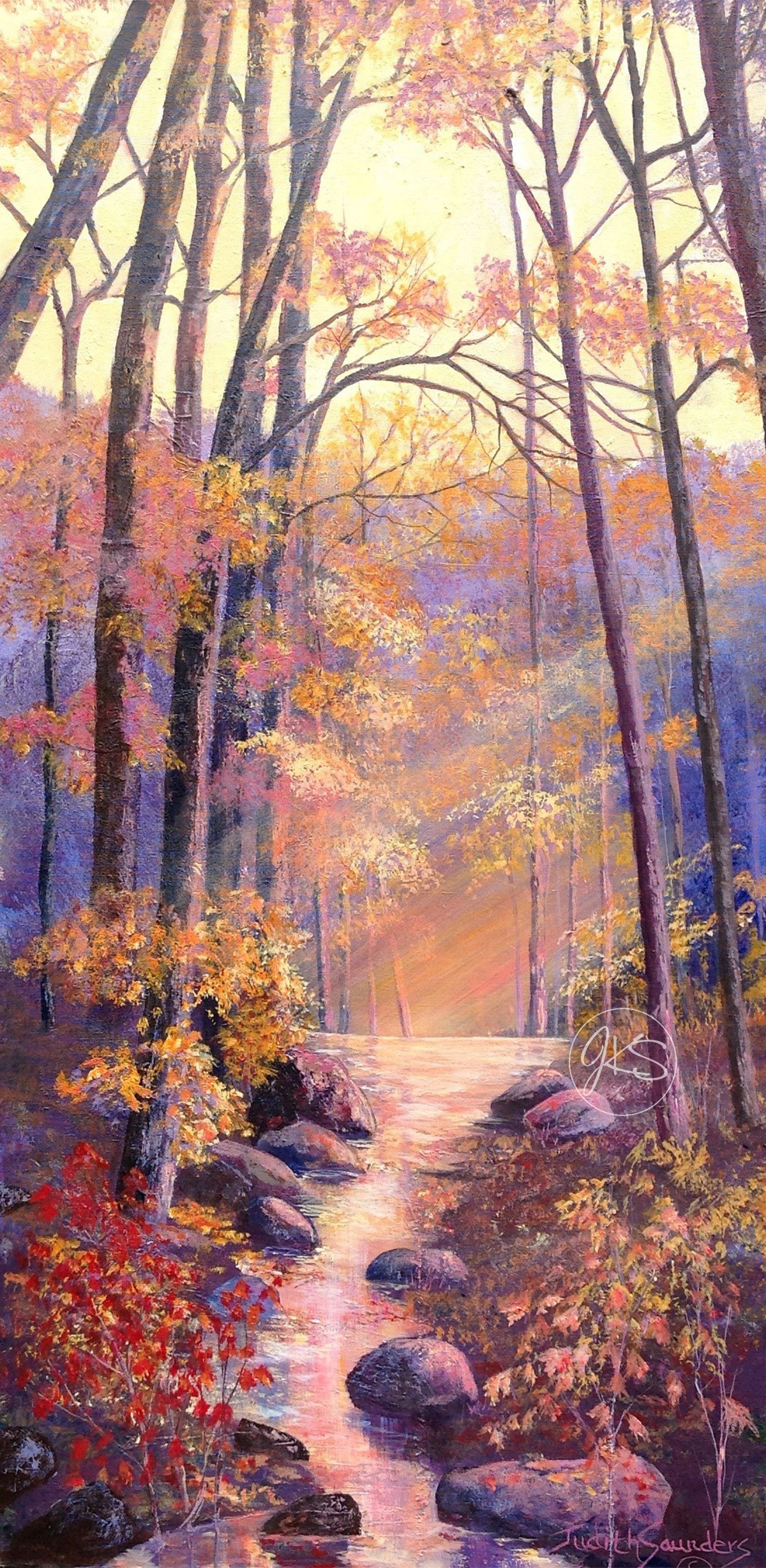 Brook - Skiff Lake