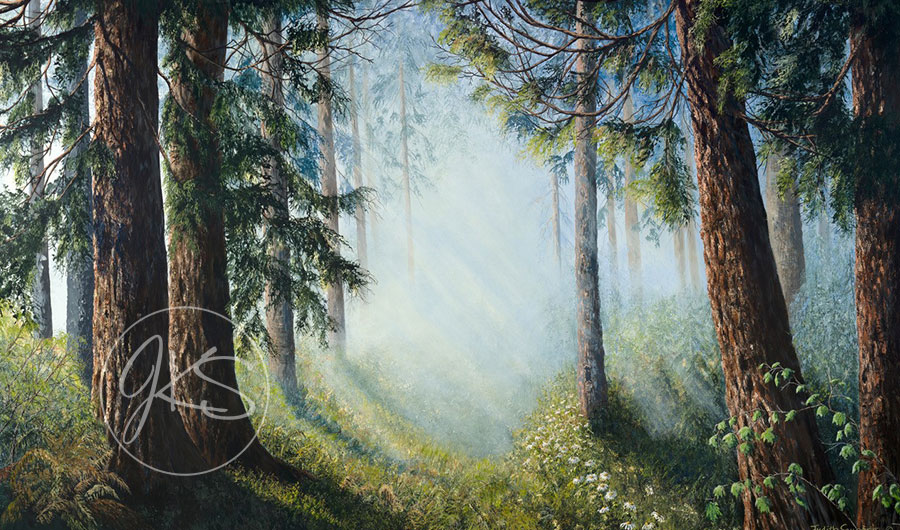 Mist in the Forest