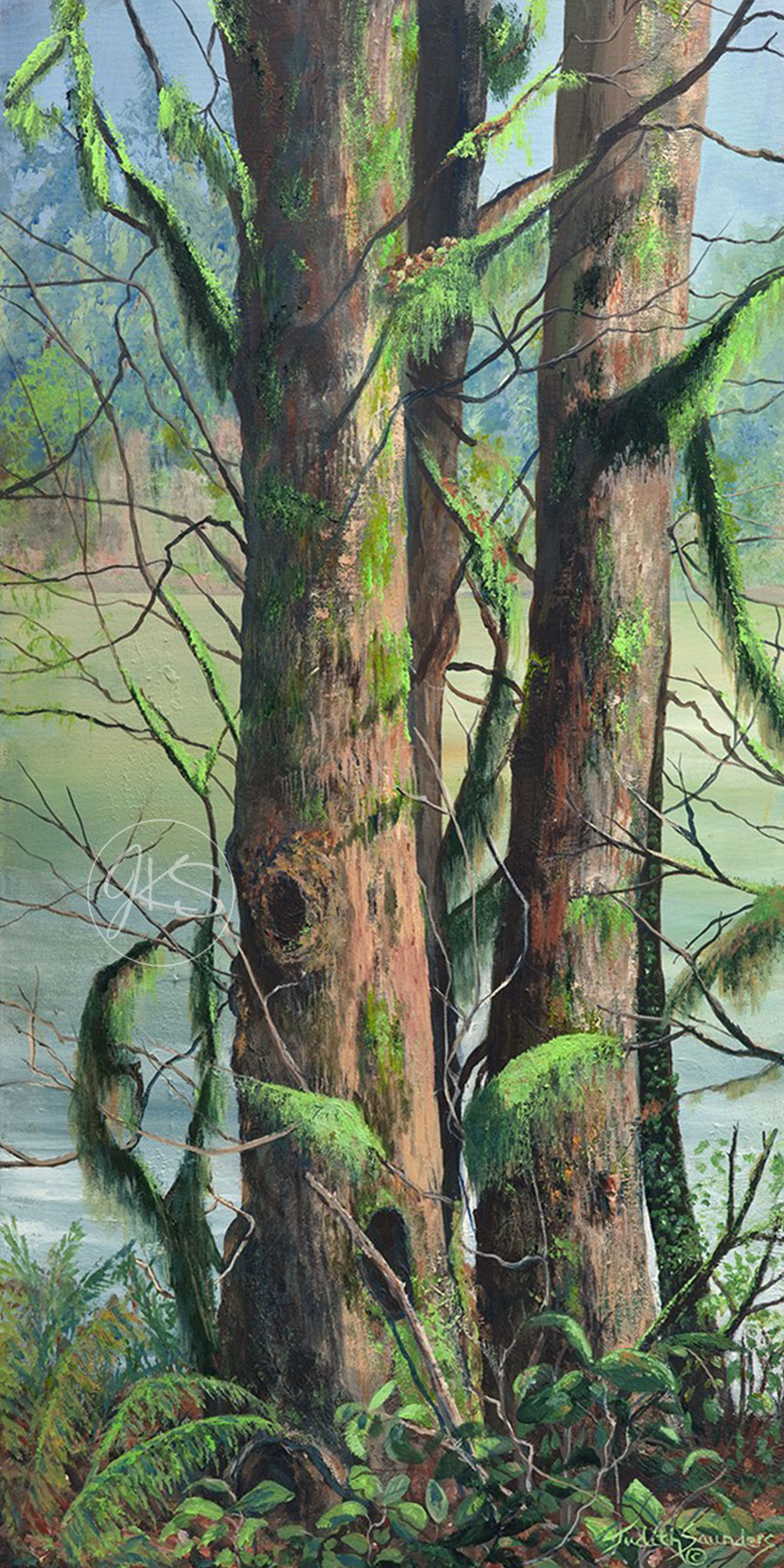 Moss On Trees