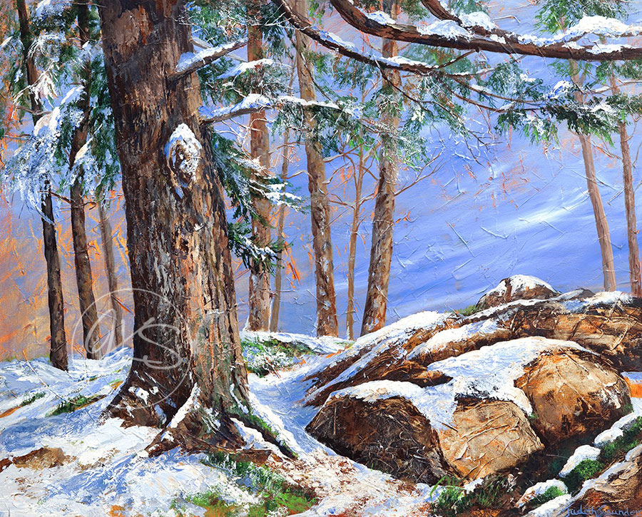 Pine Tree By Rocks In Snow