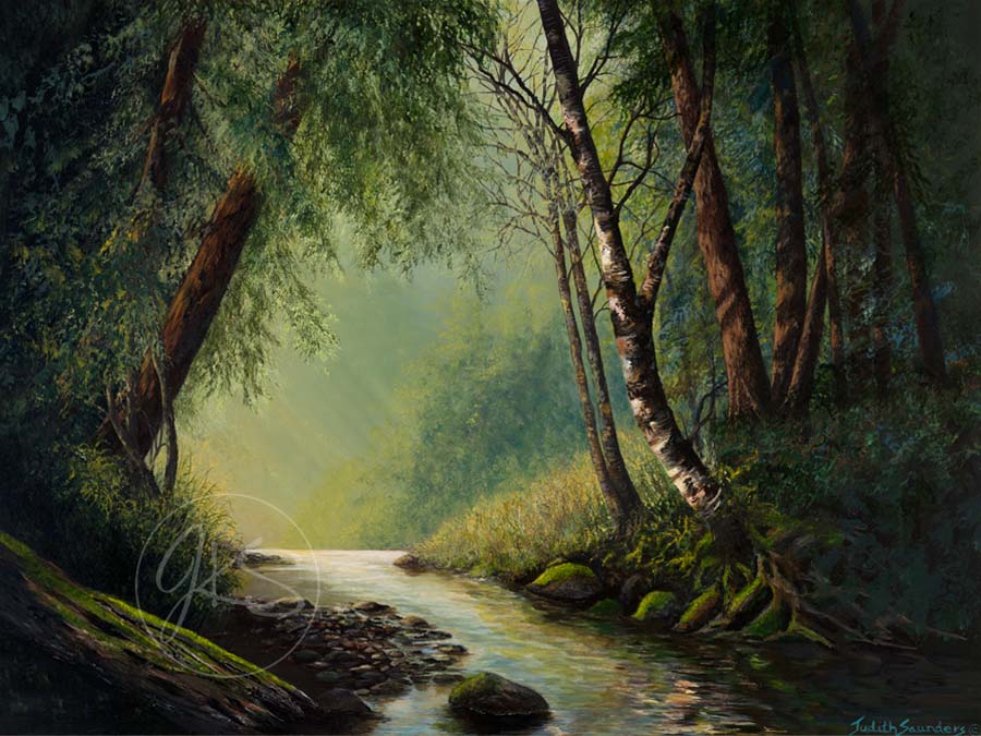 Quiet Waters