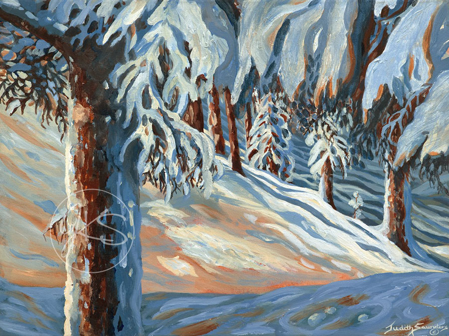 Snow Shadows