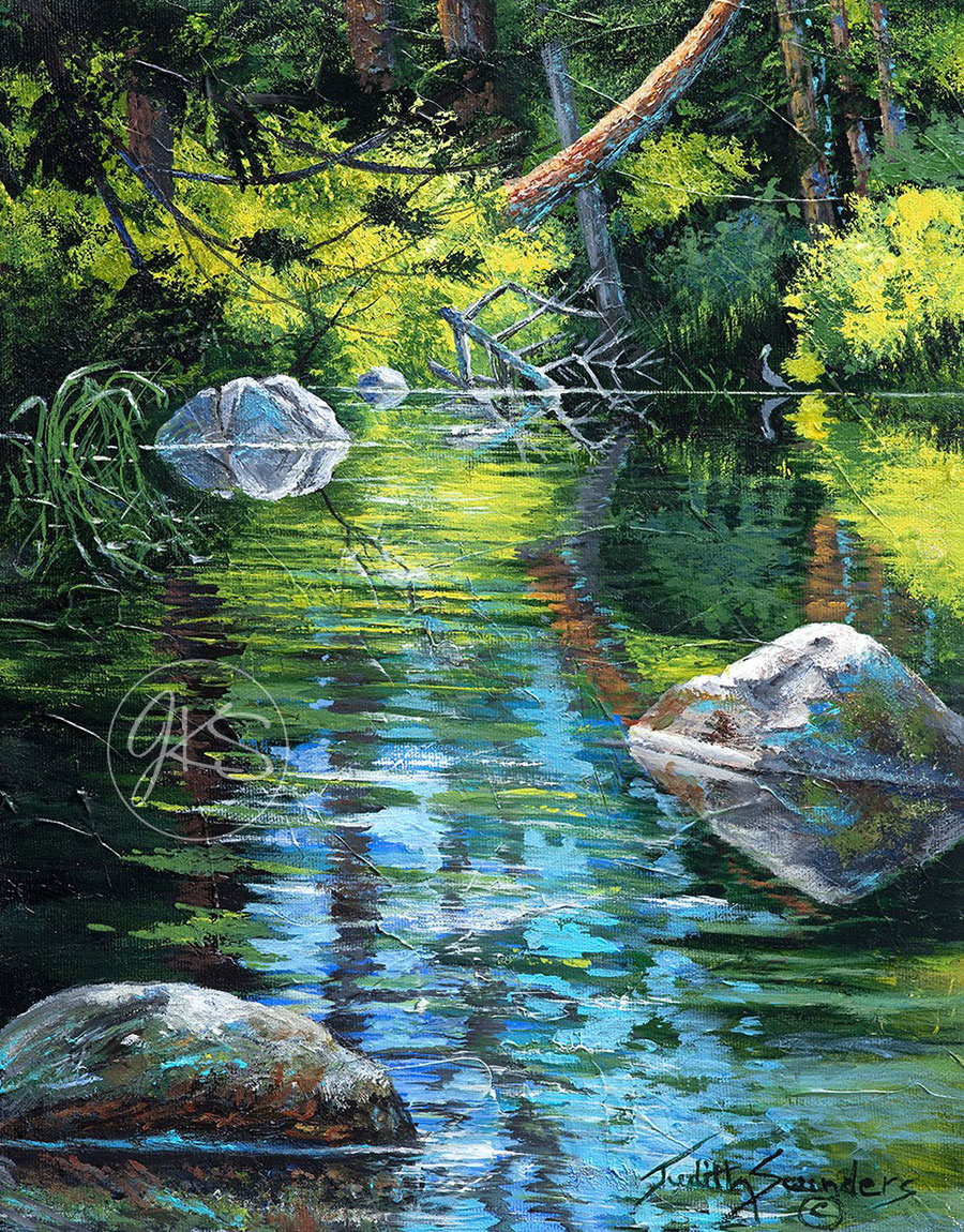 Summer Trout Brook
