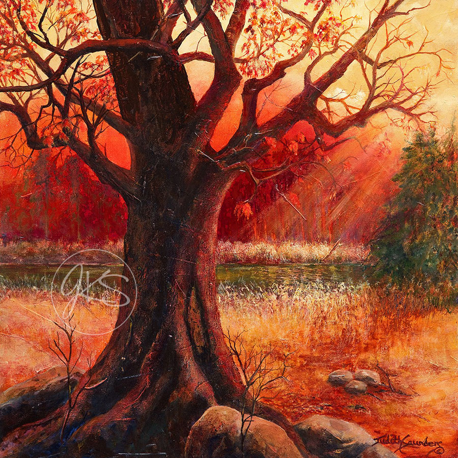 Tree In Red Sunset