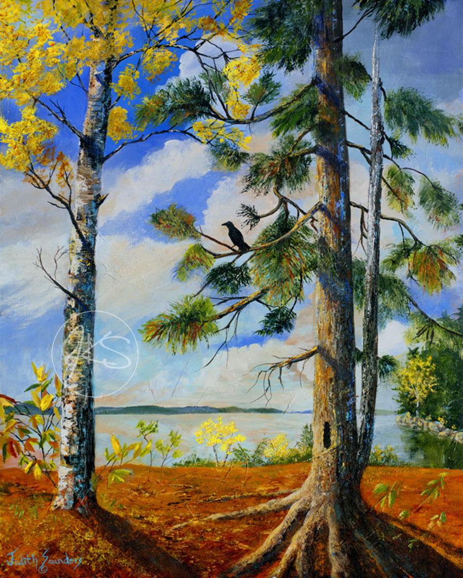 Trees At Red Bank