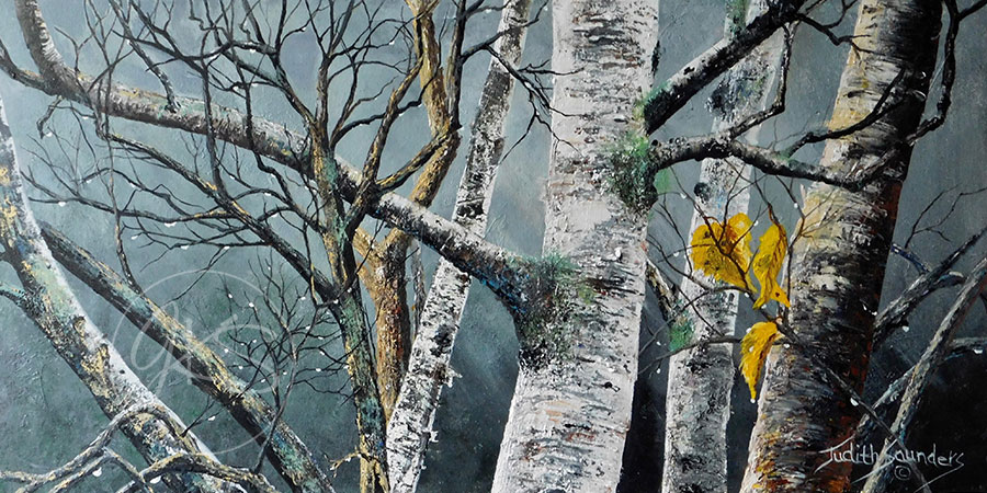 White Birch And Raindrops
