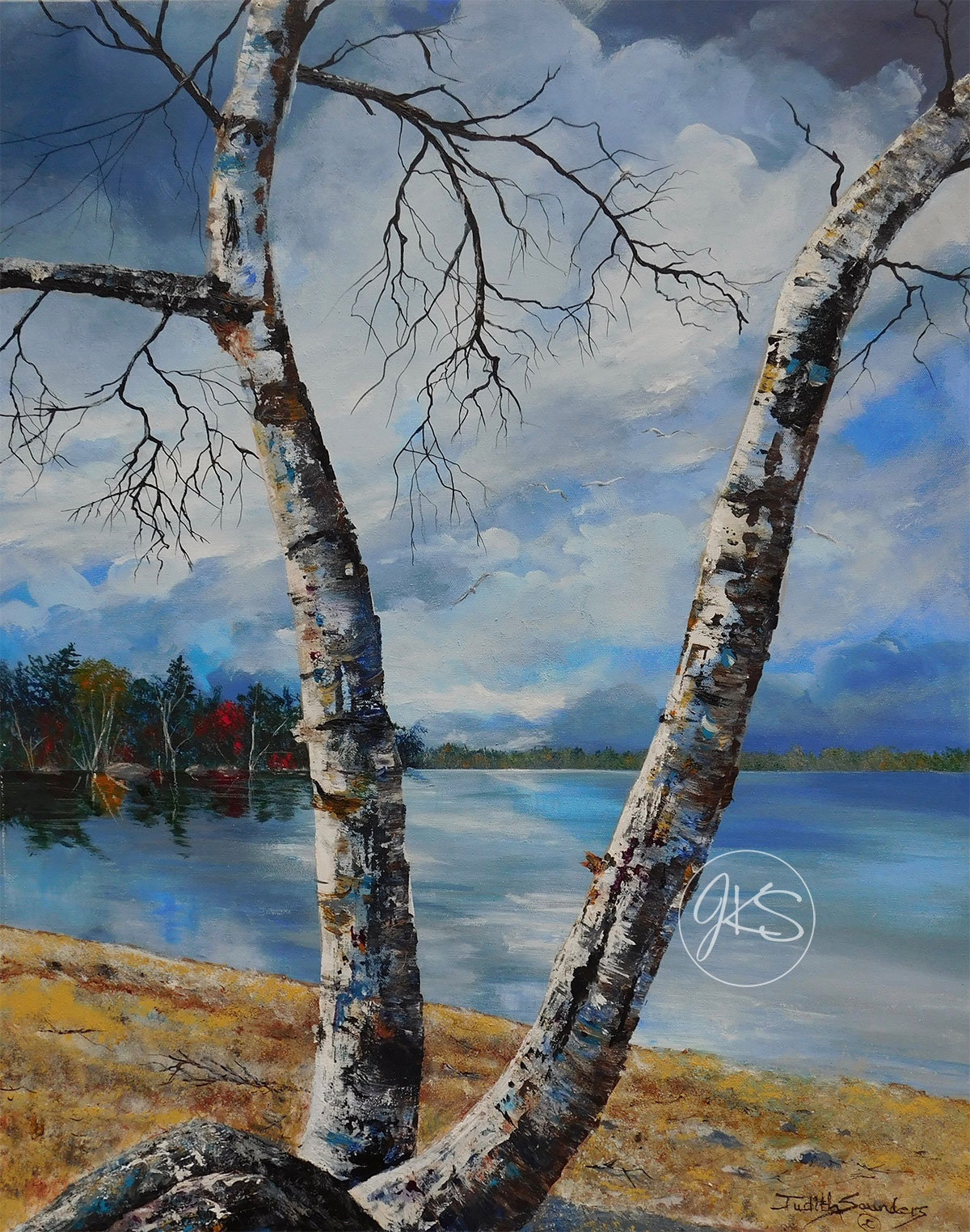 White Birch By Water
